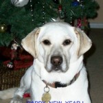 Profile picture of Aunt Therese/t-gal