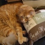 Profile picture of okcoolwheels_suzy