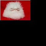 Profile picture of MeBop