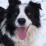 Profile picture of cxgirl